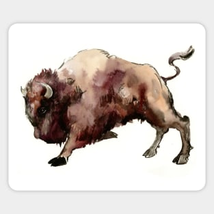 Bison Sticker